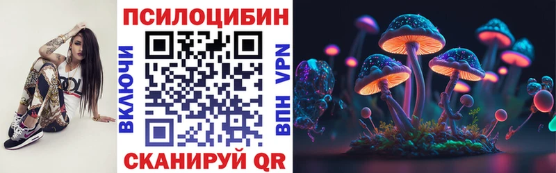 Галлюциногенные грибы Cubensis Лодейное Поле